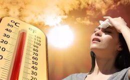 Türkiye’de Kavuran Sıcaklar Dışarı Çıkartmayacak