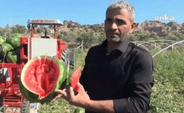 Karpuz Hasadı Başladı! Üreticiler: “Karpuzun Kilosunu 20 Liraya Satmamız Lazım Para Kazanabilmemiz İçin”