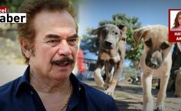 ‘Beni Orhan Gencebay yapan bir sokak köpeğidir’
